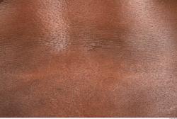 Photo Textures of Human Skin